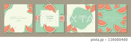 スイカ  夏   素材セット フレーム 背景 ベクターイラスト シンプル おしゃれ 116080480