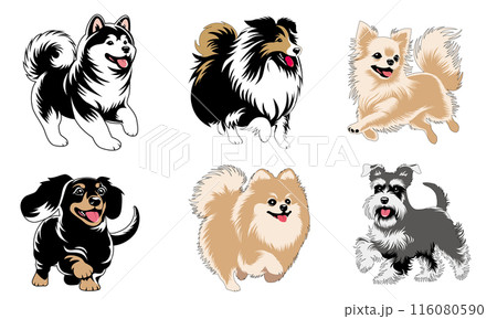 いろいろな犬のベクターイラスト 116080590