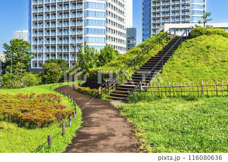 二子玉川公園の風景 緑豊かな都市公園とタワーマンション【東京都・世田谷区】 二子玉川公園の風景 緑豊かな都市公園とタワーマンション【東京都・世田谷区】 116080636