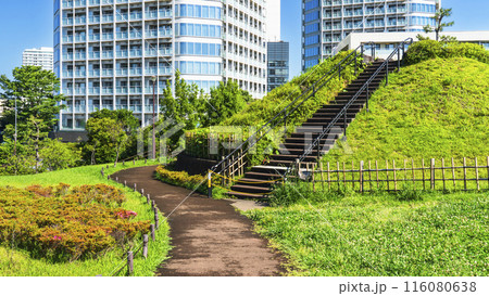 二子玉川公園の風景 緑豊かな都市公園とタワーマンション【東京都・世田谷区】 二子玉川公園の風景 緑豊かな都市公園とタワーマンション【東京都・世田谷区】 116080638