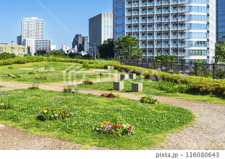 二子玉川公園の風景　緑豊かな都市公園とタワーマンション【東京都・世田谷区】 116080643