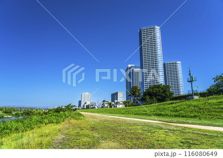 二子玉川・多摩川緑地の風景 緑豊かな河川敷とタワーマンション【東京都・世田谷区】 二子玉川・多摩川緑地の風景 緑豊かな河川敷とタワーマンション【東京都・世田谷区】 116080649