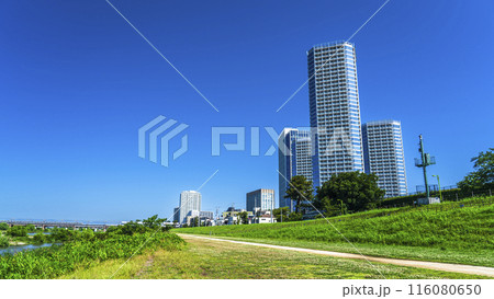 二子玉川・多摩川緑地の風景　緑豊かな河川敷とタワーマンション【東京都・世田谷区】 116080650