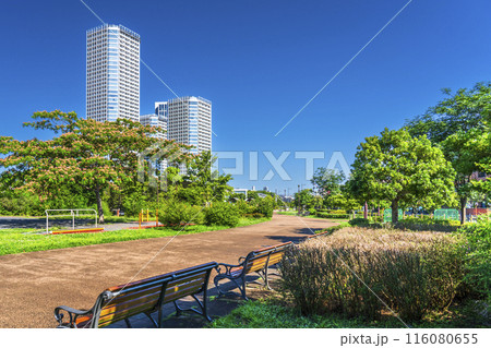二子玉川公園の都市風景 緑豊かな公園とタワーマンション群【東京都・世田谷区】 二子玉川公園の都市風景 緑豊かな公園とタワーマンション群【東京都・世田谷区】 116080655