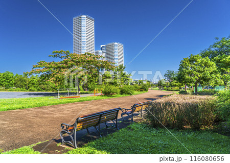 二子玉川公園の風景　緑豊かな都市公園とタワーマンション【東京都・世田谷区】 116080656