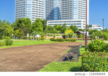 二子玉川公園の風景　緑豊かな都市公園とタワーマンション【東京都・世田谷区】 116080669