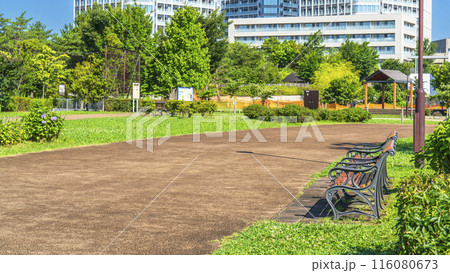 二子玉川公園の風景【東京都・世田谷区】 二子玉川公園の風景【東京都・世田谷区】 116080673