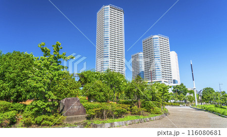 二子玉川公園の風景 緑豊かな都市公園とタワーマンション【東京都・世田谷区】 二子玉川公園の風景 緑豊かな都市公園とタワーマンション【東京都・世田谷区】 116080681