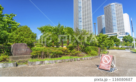 二子玉川公園の風景 緑豊かな都市公園とタワーマンション【東京都・世田谷区】 二子玉川公園の風景 緑豊かな都市公園とタワーマンション【東京都・世田谷区】 116080687
