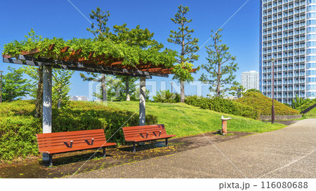 二子玉川公園の風景　緑豊かな都市公園とタワーマンション【東京都・世田谷区】 116080688