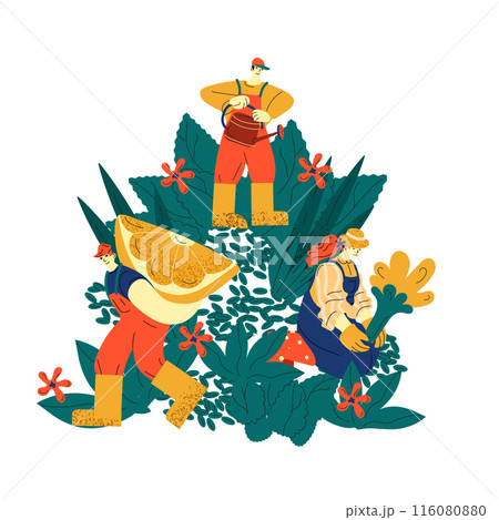 Three Farmers Working in a Lush Garden 116080880