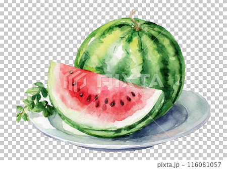 水彩画お皿に乗ったスイカのイラスト 116081057