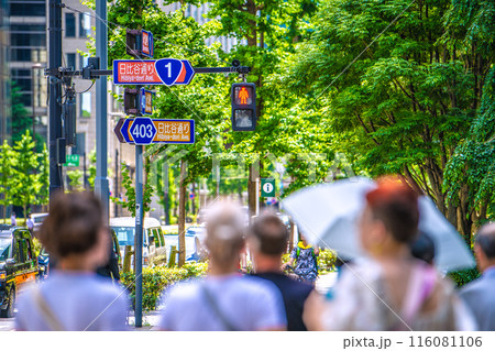 日本の東京都市景観 緑に映える大手町の交差点。外国人観光客らの姿も…4段に並ぶ道路標識・日比谷通り… 116081106