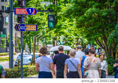 日本の東京都市景観 緑に映える大手町の交差点。外国人観光客らの姿も…4段に並ぶ道路標識・日比谷通り… 116081108