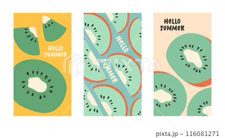 Summer poster kiwi set in flat style. Art for poster, postcard, wall art, banner background 116081271