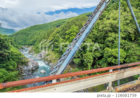 峡谷の風景《領内峡・絶景フォトスポット・旧領内橋》三重県大台町 116081739