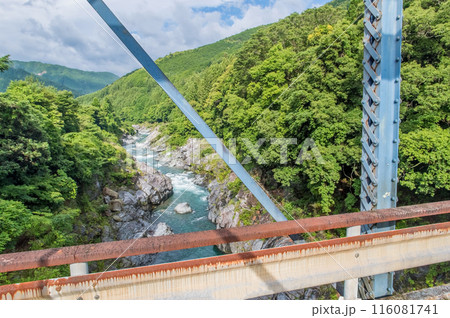 峡谷の風景《領内峡・絶景フォトスポット・旧領内橋》三重県大台町 116081741
