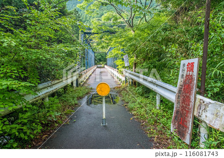 領内峡の絶景ポイント「旧領内橋」　三重県大台町 116081743