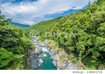 峡谷の風景《領内峡・絶景フォトスポット・旧領内橋》三重県大台町 116081744