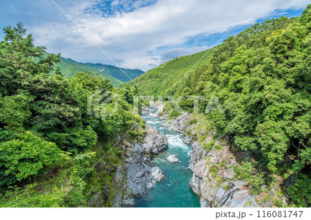 峡谷の風景《領内峡・絶景フォトスポット・旧領内橋》三重県大台町 峡谷の風景《領内峡・絶景フォトスポット・旧領内橋》三重県大台町 116081747