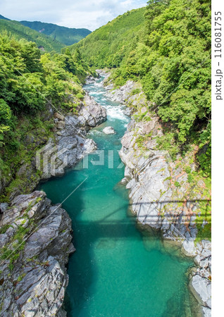 峡谷の風景《領内峡・絶景フォトスポット・旧領内橋》三重県大台町 峡谷の風景《領内峡・絶景フォトスポット・旧領内橋》三重県大台町 116081755