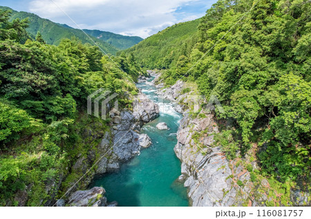 峡谷の風景《領内峡・絶景フォトスポット・旧領内橋》三重県大台町 116081757