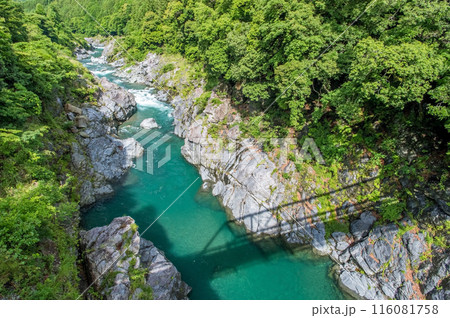 峡谷の風景《領内峡・絶景フォトスポット・旧領内橋》三重県大台町 峡谷の風景《領内峡・絶景フォトスポット・旧領内橋》三重県大台町 116081758