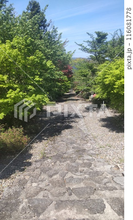 英彦山神宮 参道 福岡田川 英彦山神宮 参道 福岡田川 116081778