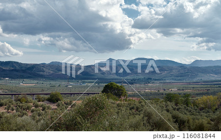 Beautiful pregnant woman with big belly in late pregnancy, looking at camera, posing with naked belly over studio background with neon lights, dressed in stylish white blazer. Pregnancy. Maternity 116081844