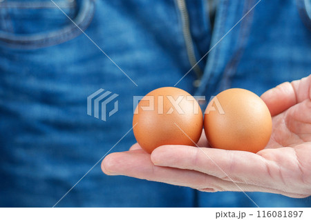 Two eggs held in a hand, with blue jeans in the background. Male reproductive system health concept. Copy space Two eggs held in a hand, with blue jeans in the background. Male reproductive system health concept. Copy space 116081897
