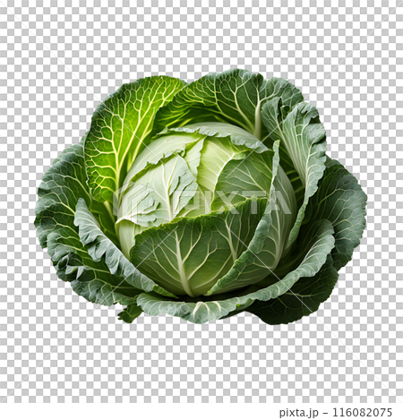 Head of ripe green cabbage isolated. Fresh vegetable. Healthy eating, vegetarian diet, organic food. 116082075
