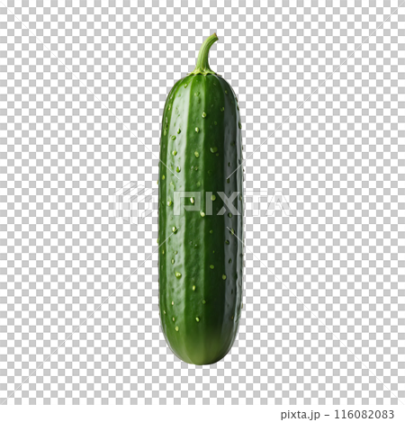 Ripe green cucumber isolated. Fresh vegetable. Healthy eating, vegetarian diet, organic food. 116082083