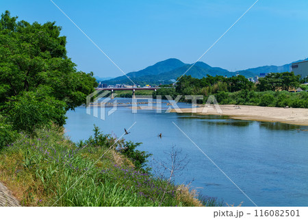 大阪側からの二上山 大和川とツバメの飛鳥 2024年5月25日 大阪側からの二上山 大和川とツバメの飛鳥 2024年5月25日 116082501