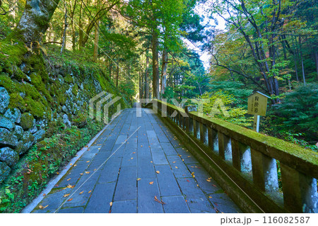 秋の群馬県高崎市 榛名神社の鞍掛岩付近の参道から拝殿側を見る 116082587