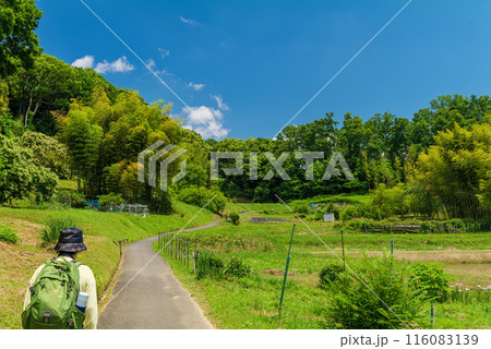 橿原神宮前から万葉の森への道 橿原市南浦町 天香具山東の麓 2024年6月3日 橿原神宮前から万葉の森への道 橿原市南浦町 天香具山東の麓 2024年6月3日 116083139