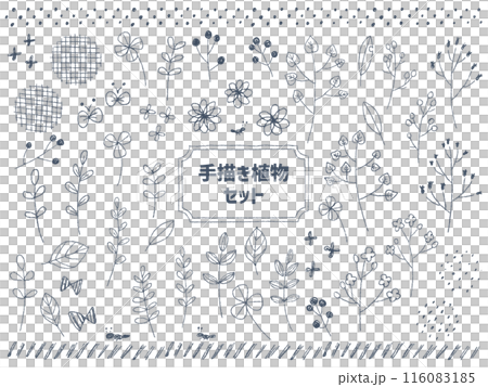 可愛的植物手繪粗集灰色 116083185