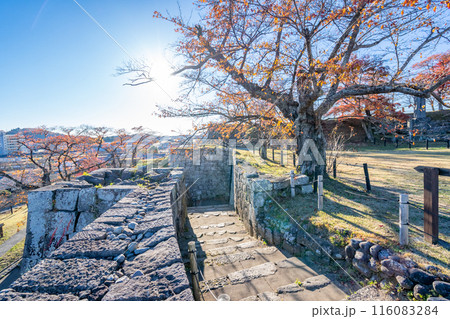 白河小峰城　桜之門跡　桜の紅葉 116083284