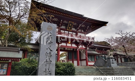 篠崎神社 116083451