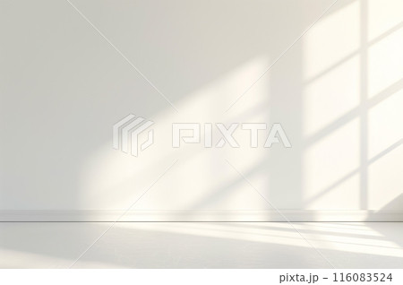 日差しが差し込む白を基調とした建物の屋内 116083524