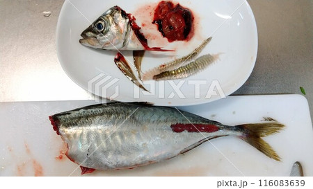 アジの下処理 アジの下処理 116083639