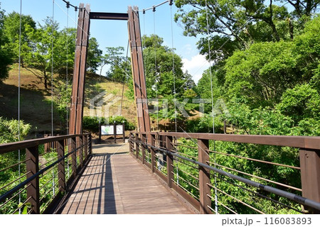 神奈川県立あいかわ公園の森のわたり橋 116083893