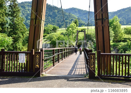 神奈川県立あいかわ公園の森のわたり橋 神奈川県立あいかわ公園の森のわたり橋 116083895