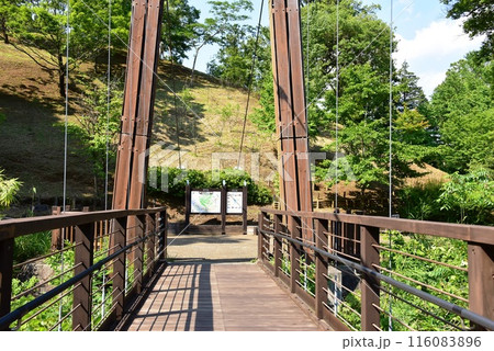 神奈川県立あいかわ公園の森のわたり橋 116083896