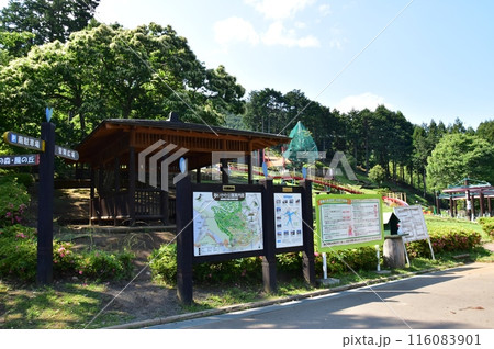 神奈川県立あいかわ公園の冒険の森とあいかわ公園案内板 116083901