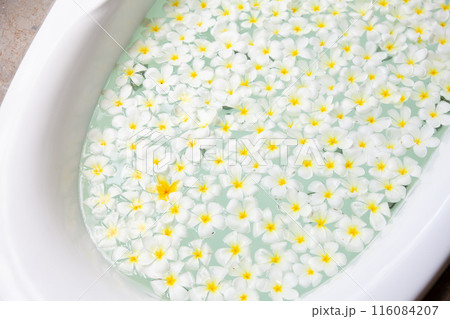 バスタブに浮かぶ黄色い花 116084207