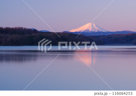 冬の狭山湖畔から望む早朝の富士 冬の狭山湖畔から望む早朝の富士 116084253