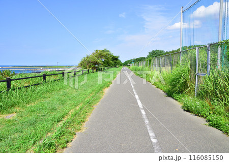 新潟県新潟市西海岸公園の風景(2022年夏) 116085150