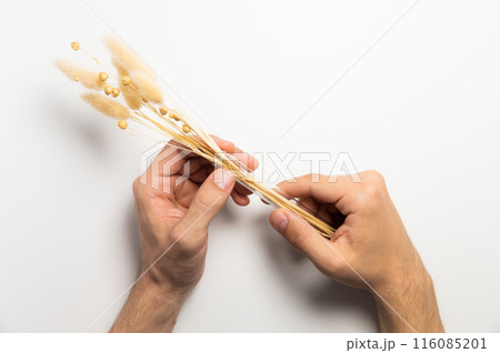 Male hands hold several sprigs of dried flowers on a white background. Male tenderness and sensitivity. Concept 116085201