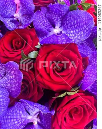 Bright colorful bouquet of red roses and purple orchids 116085247