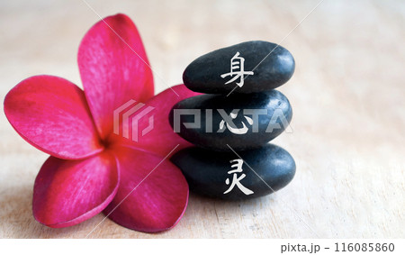 Body, mind and spirit in Chinese character on zen stones with flora background 116085860